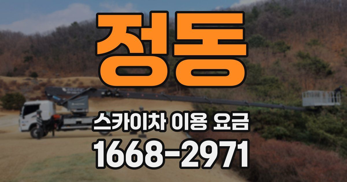 정동 스카이차 이용 요금