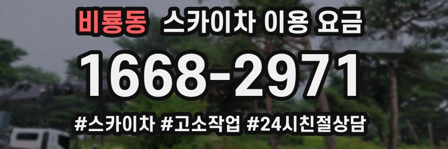 비룡동 스카이차 이용 요금