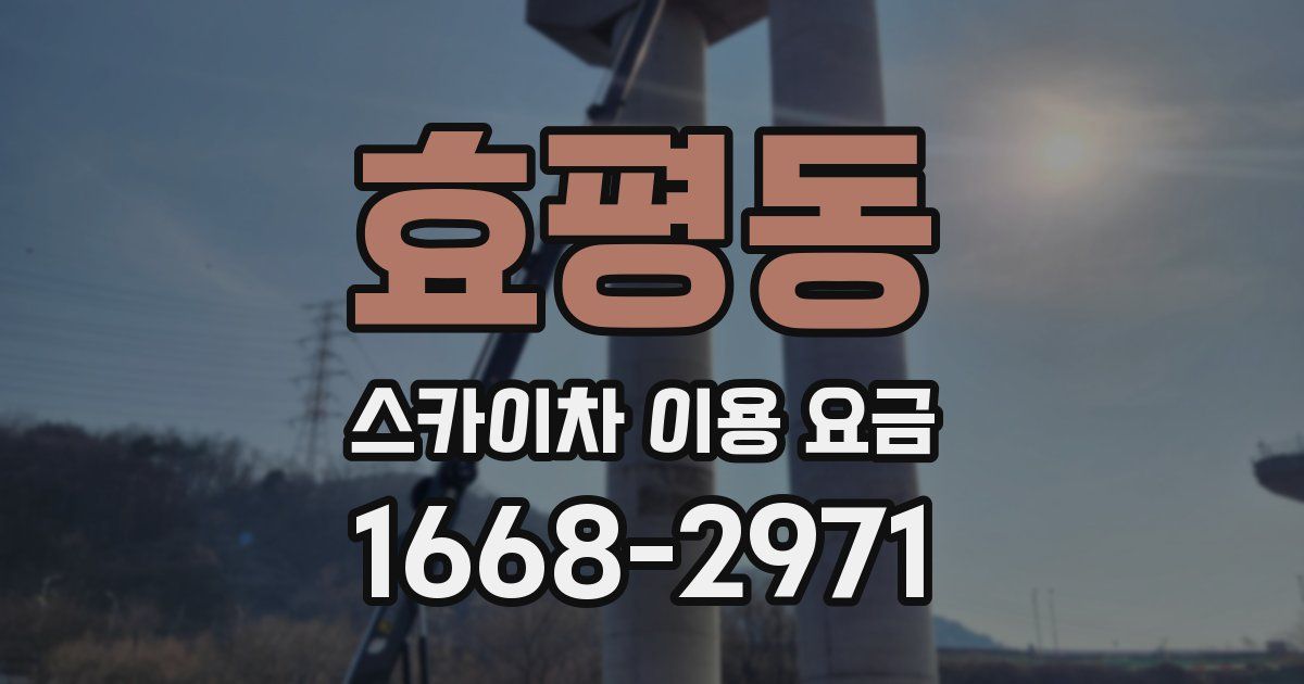 효평동 스카이차 이용 요금