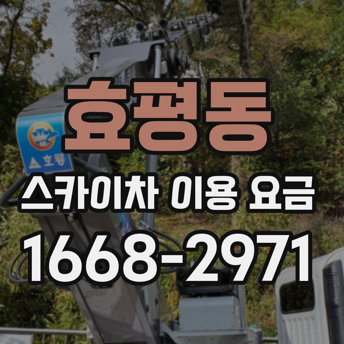 효평동 스카이차 이용 요금