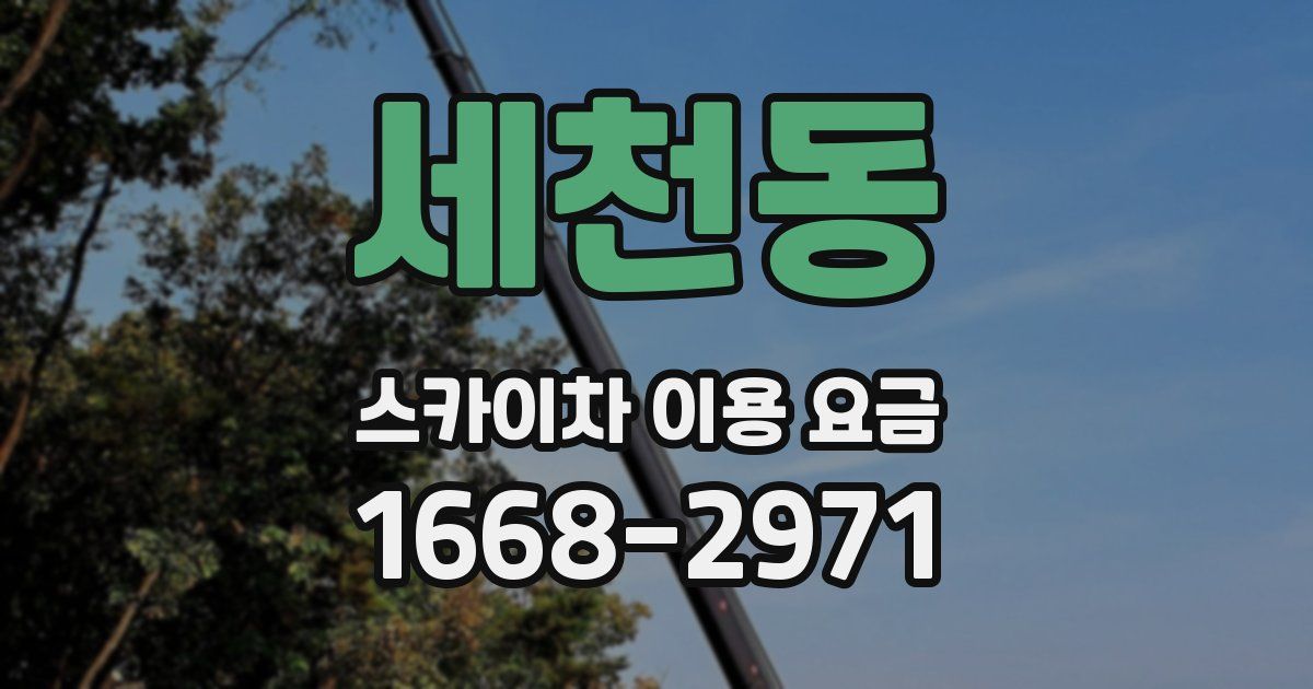 세천동 스카이차 이용 요금