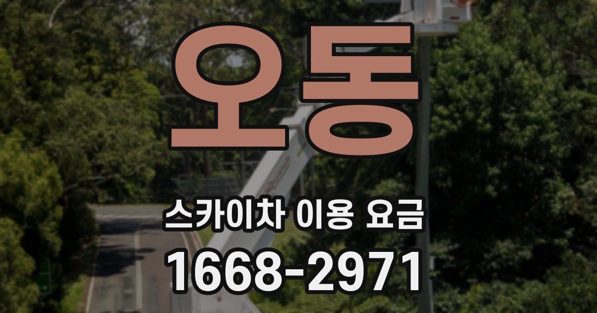 오동 스카이차 이용 요금