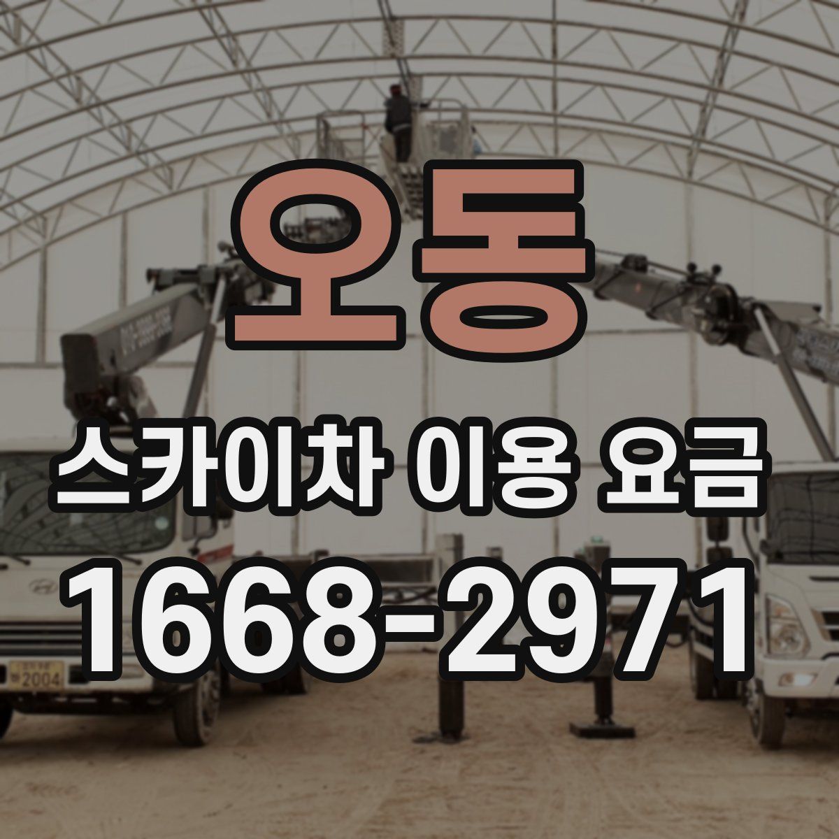 오동 스카이차 이용 요금