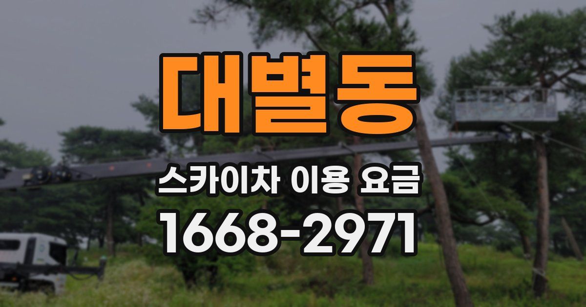 대별동 스카이차 이용 요금
