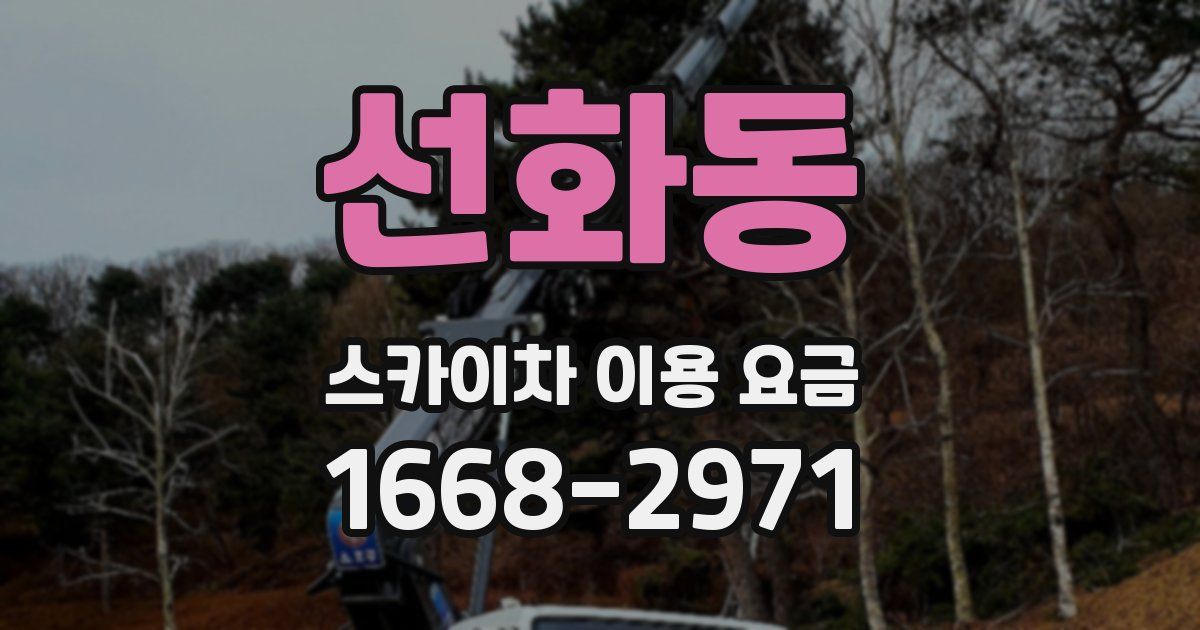 선화동 스카이차 이용 요금