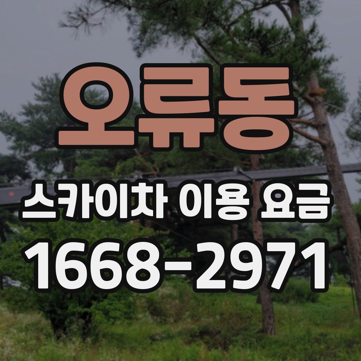 오류동 스카이차 이용 요금