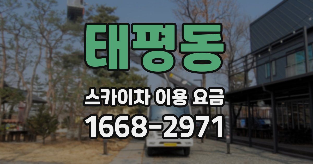 태평동 스카이차 이용 요금