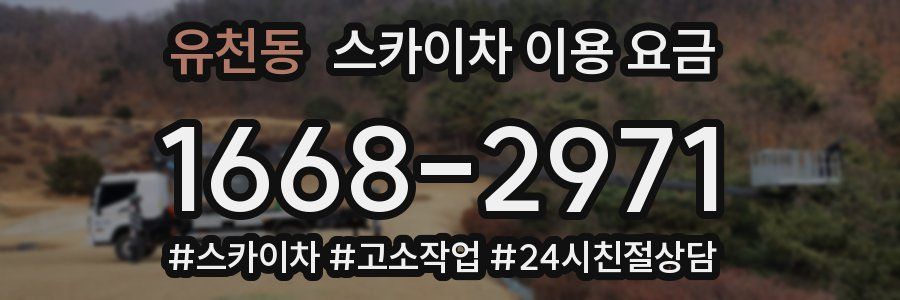 유천동 스카이차 이용 요금