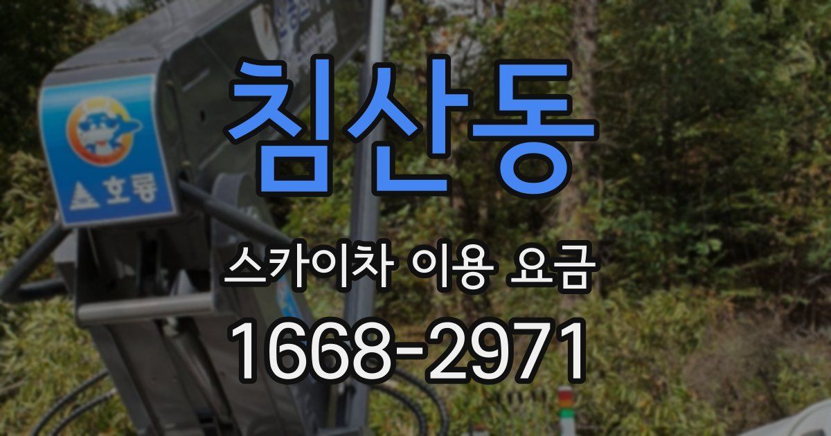 침산동 스카이차 이용 요금