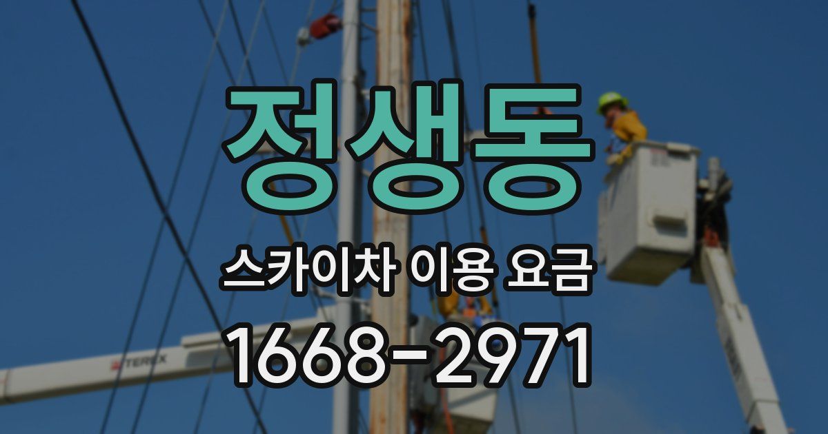 정생동 스카이차 이용 요금