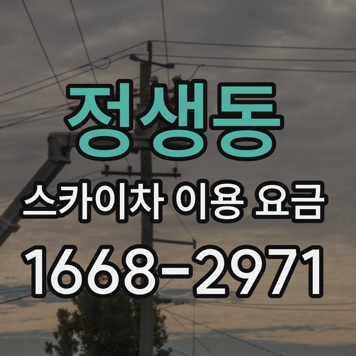 정생동 스카이차 이용 요금