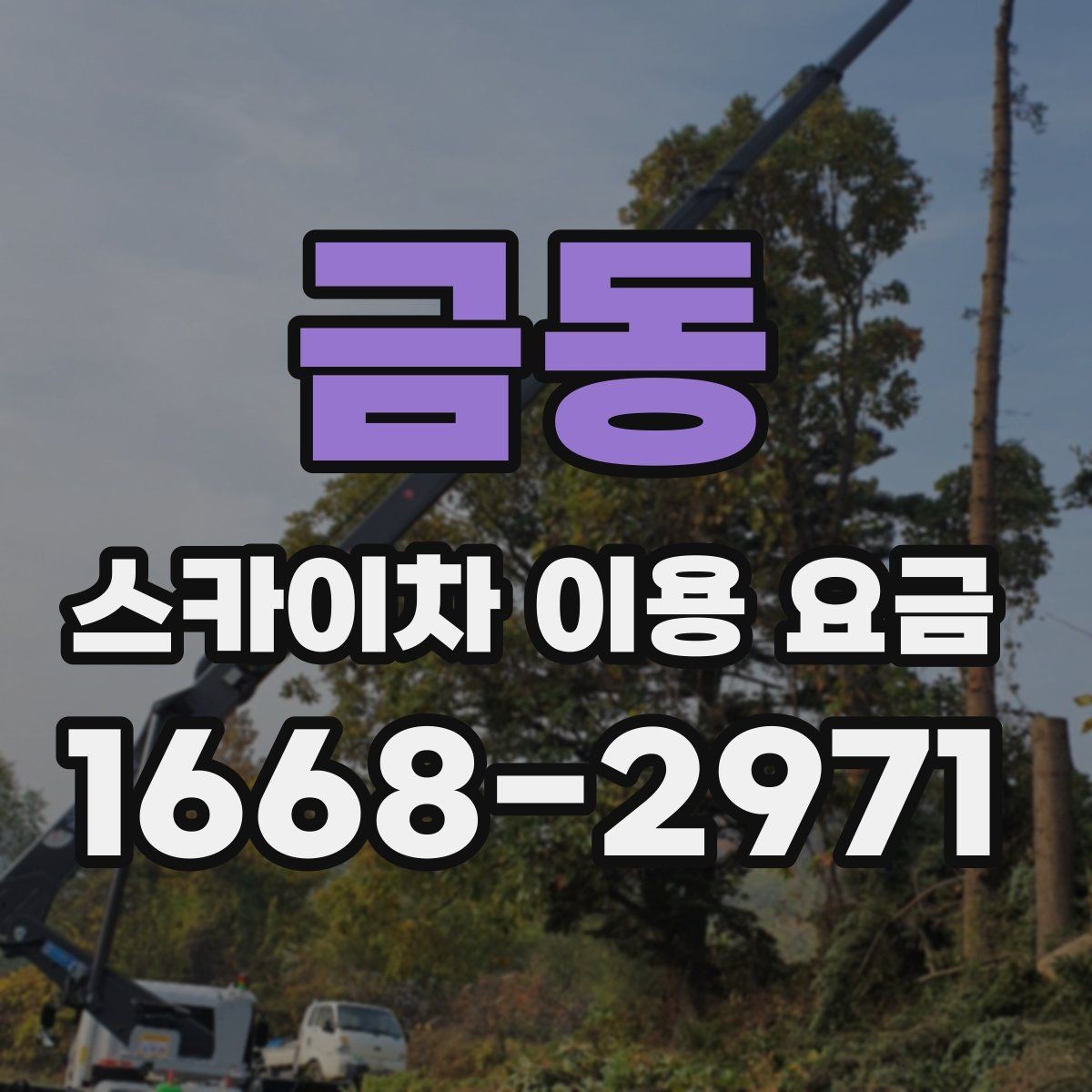 금동 스카이차 이용 요금 알아보기, 문의 전 점검할 것