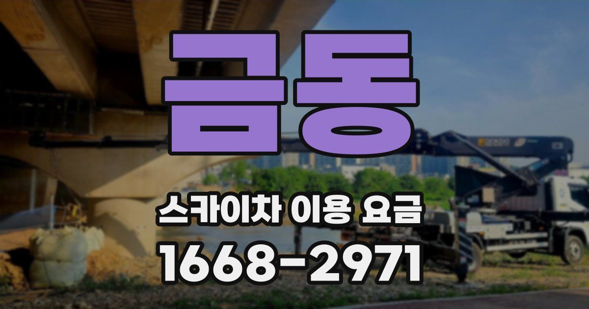금동 스카이차 이용 요금