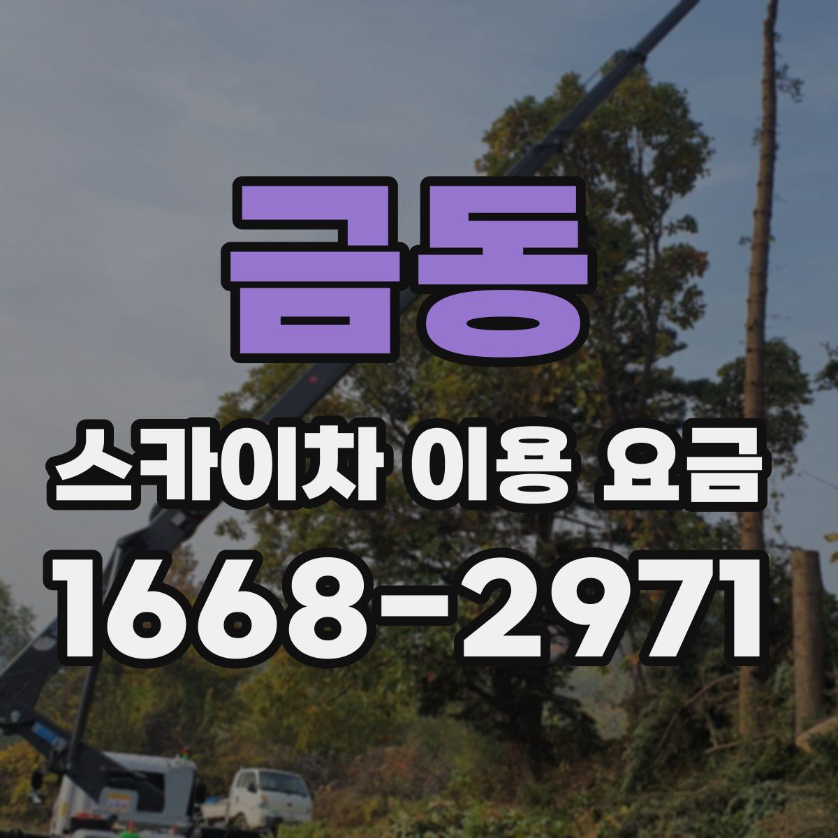 금동 스카이차 이용 요금