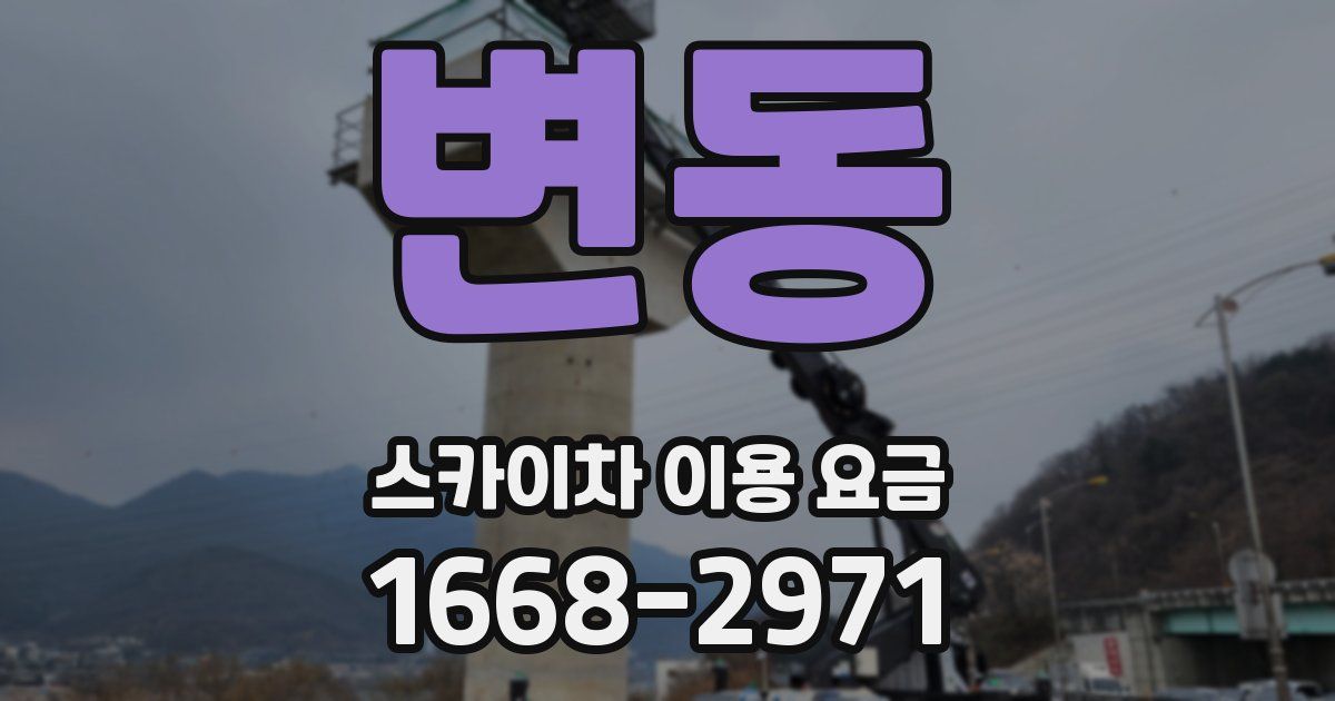 변동 스카이차 이용 요금
