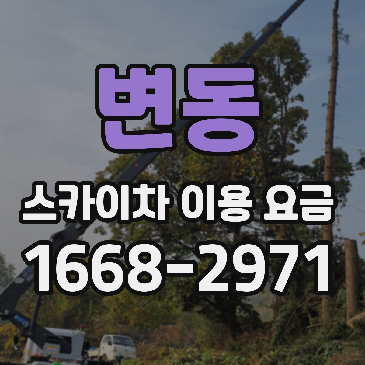 변동 스카이차 이용 요금