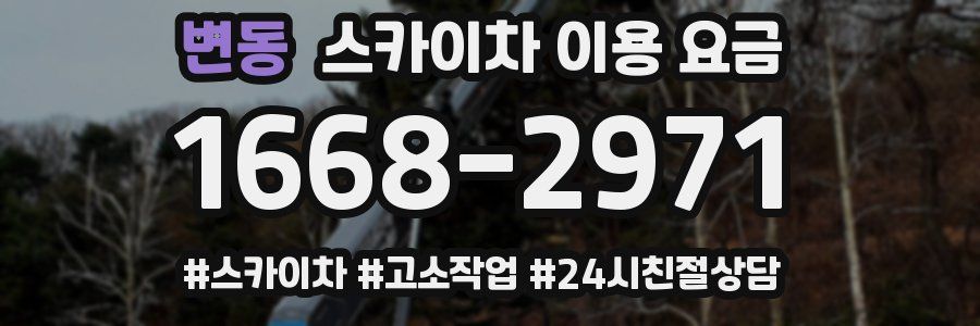 변동 스카이차 이용 요금