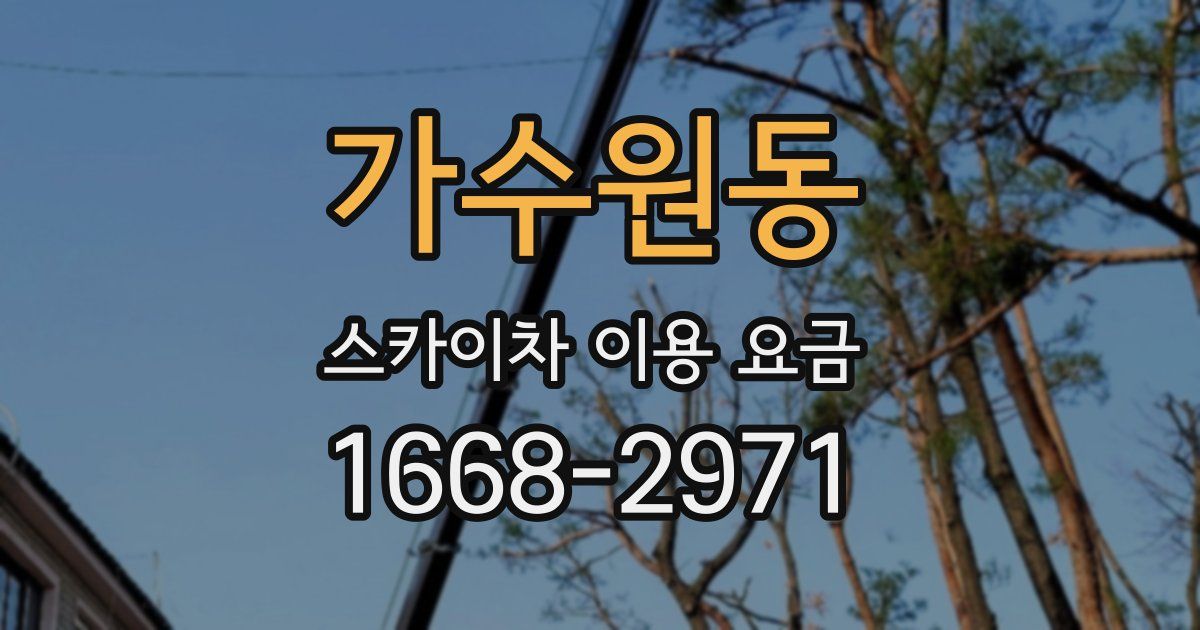 가수원동 스카이차 이용 요금