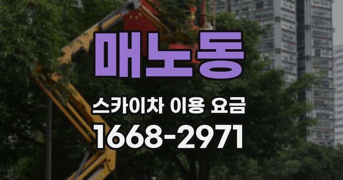 매노동 스카이차 이용 요금