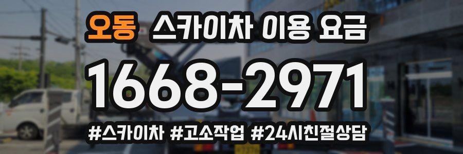 오동 스카이차 이용 요금