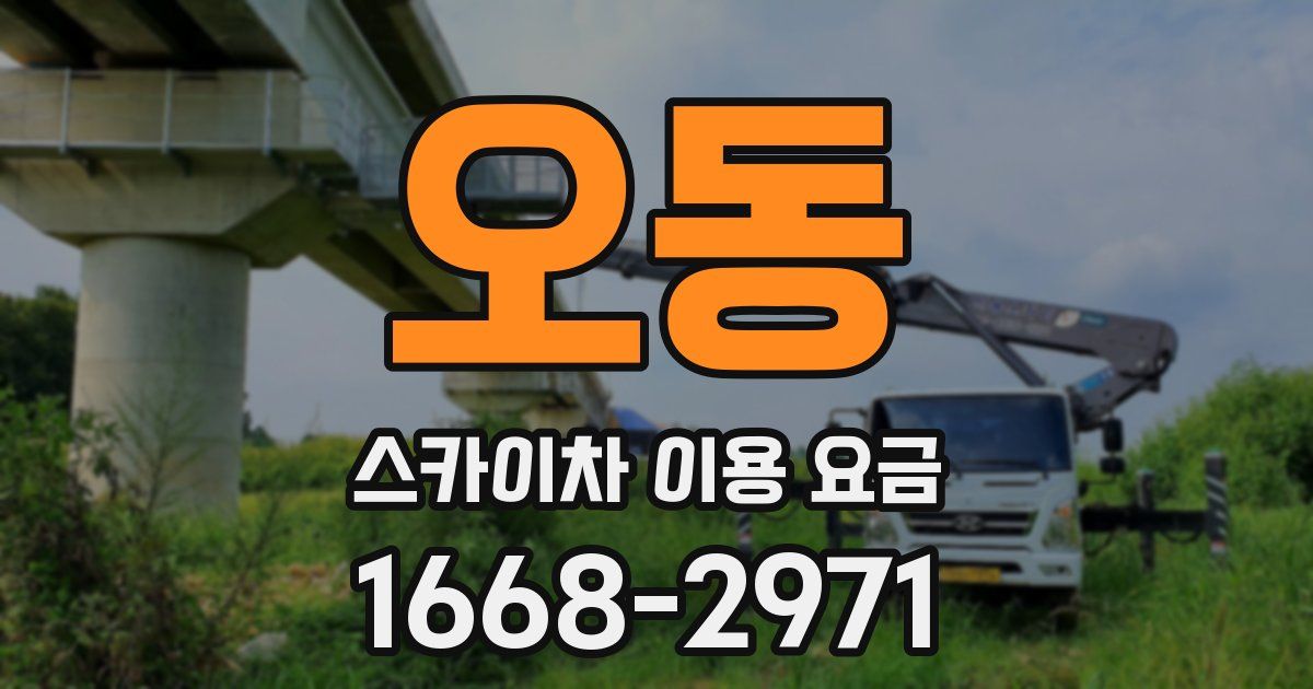 오동 스카이차 이용 요금