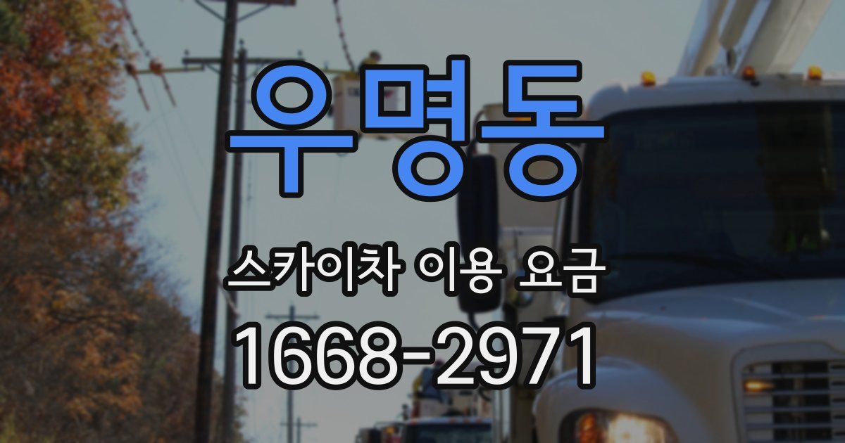 우명동 스카이차 이용 요금