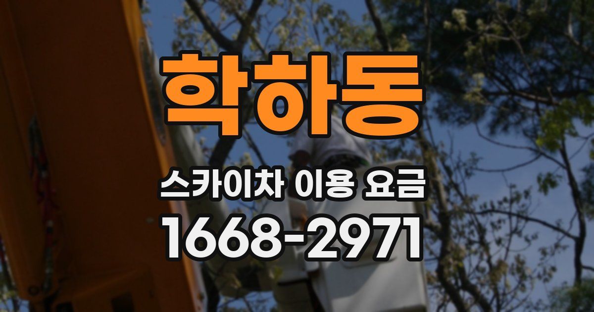 학하동 스카이차 이용 요금