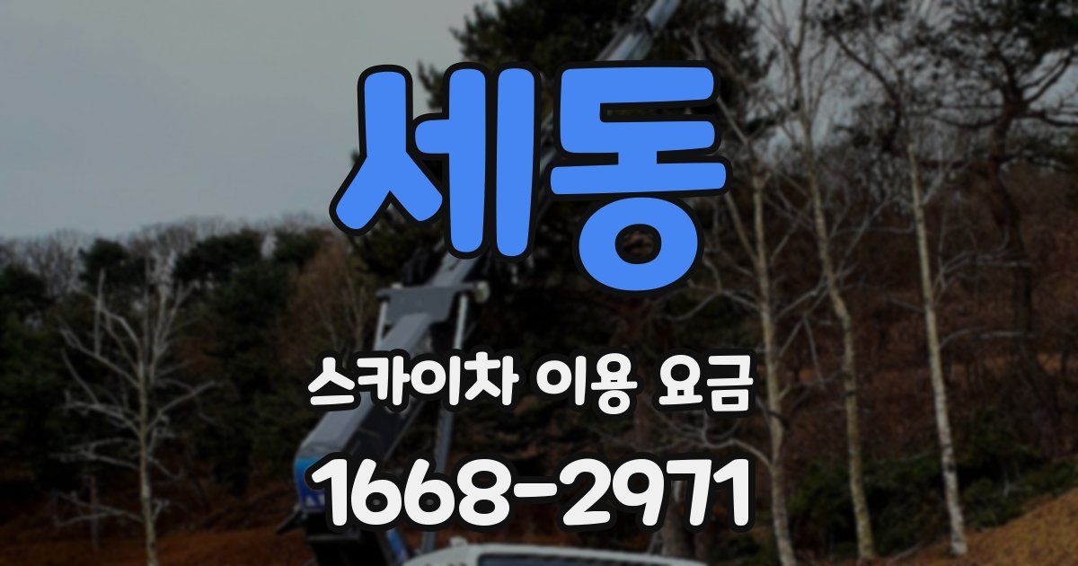 세동 스카이차 이용 요금