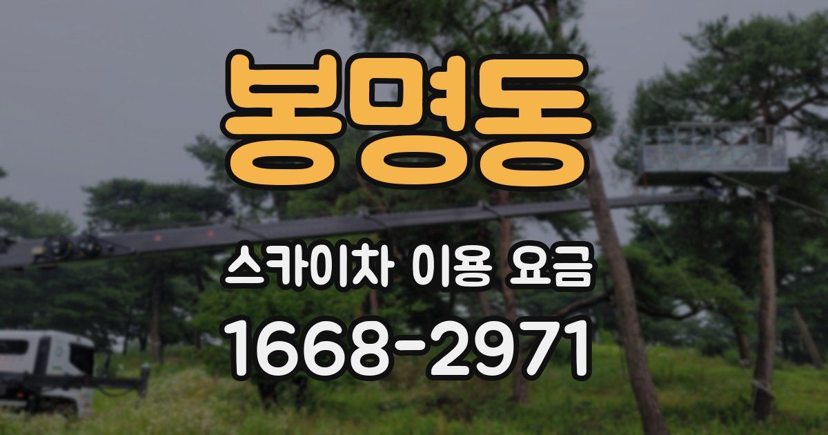 봉명동 스카이차 이용 요금