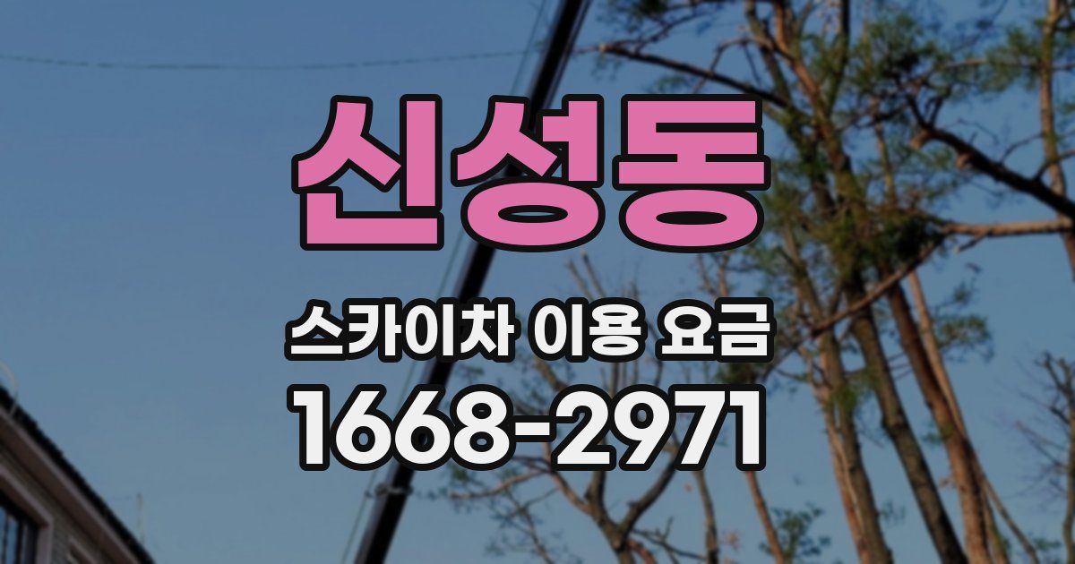 신성동 스카이차 이용 요금