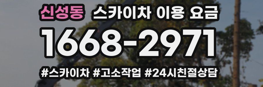 신성동 스카이차 이용 요금