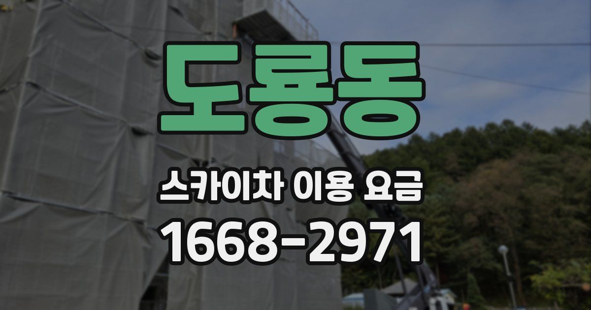 도룡동 스카이차 이용 요금