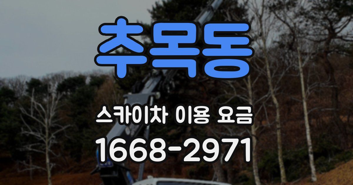 추목동 스카이차 이용 요금