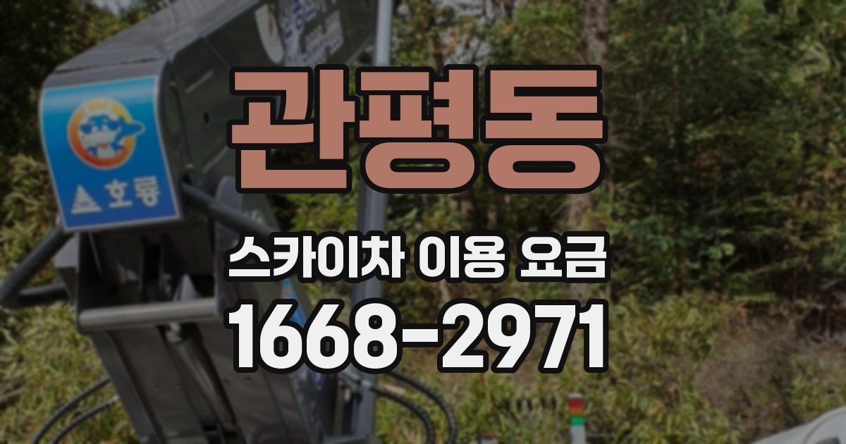 관평동 스카이차 이용 요금