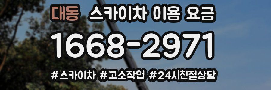 대동 스카이차 이용 요금