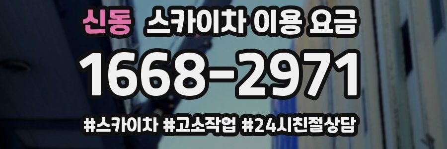 신동 스카이차 이용 요금