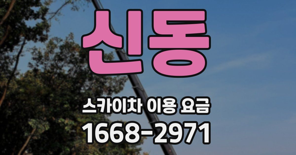 신동 스카이차 이용 요금