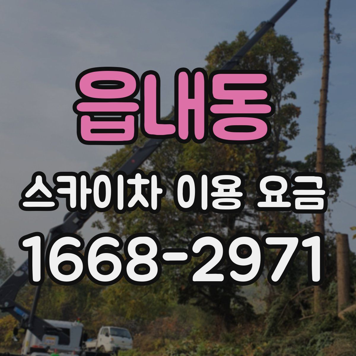 읍내동 스카이차 이용 요금