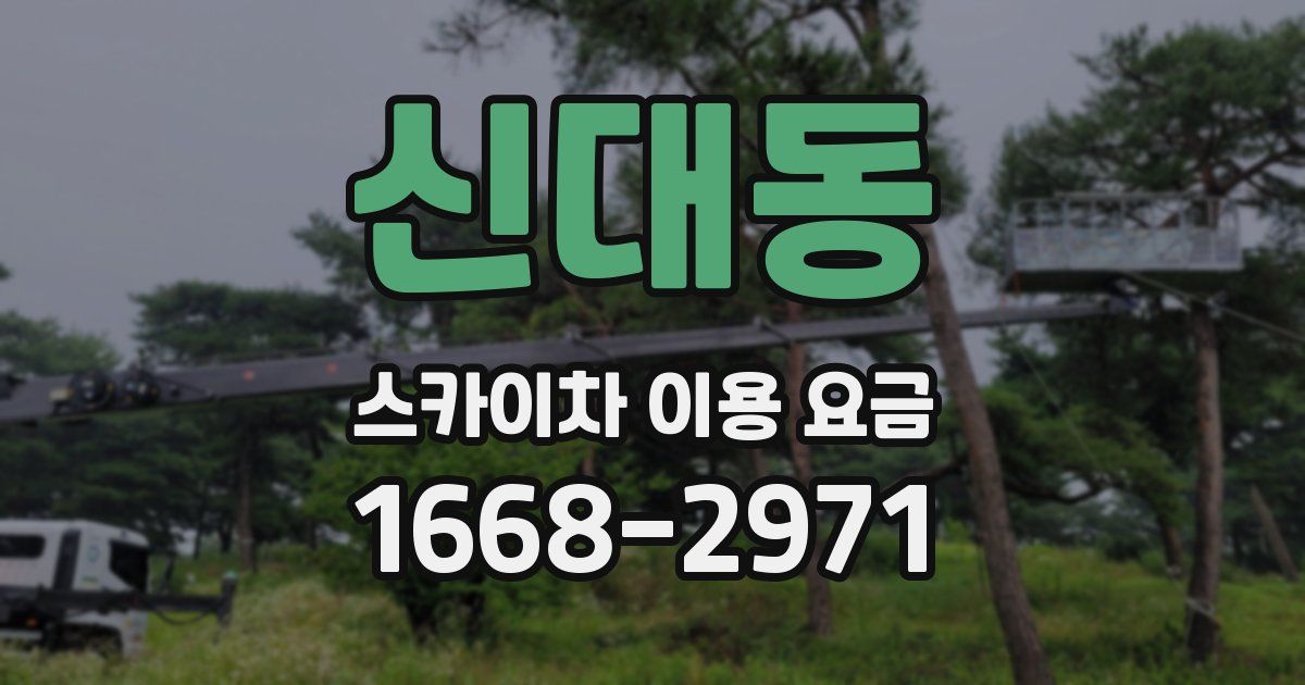 신대동 스카이차 이용 요금