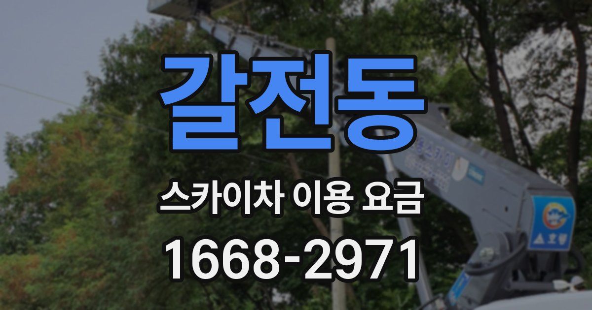 갈전동 스카이차 이용 요금