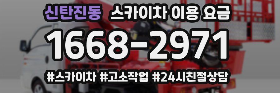 신탄진동 스카이차 이용 요금