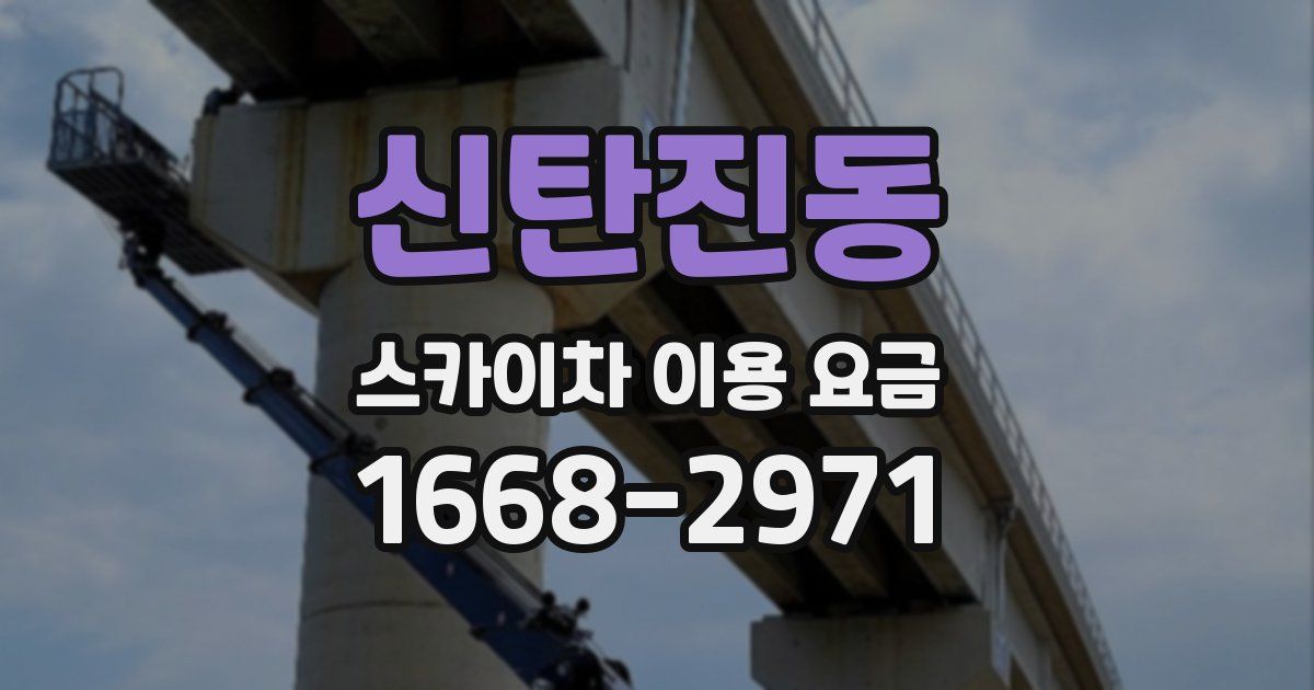 신탄진동 스카이차 이용 요금