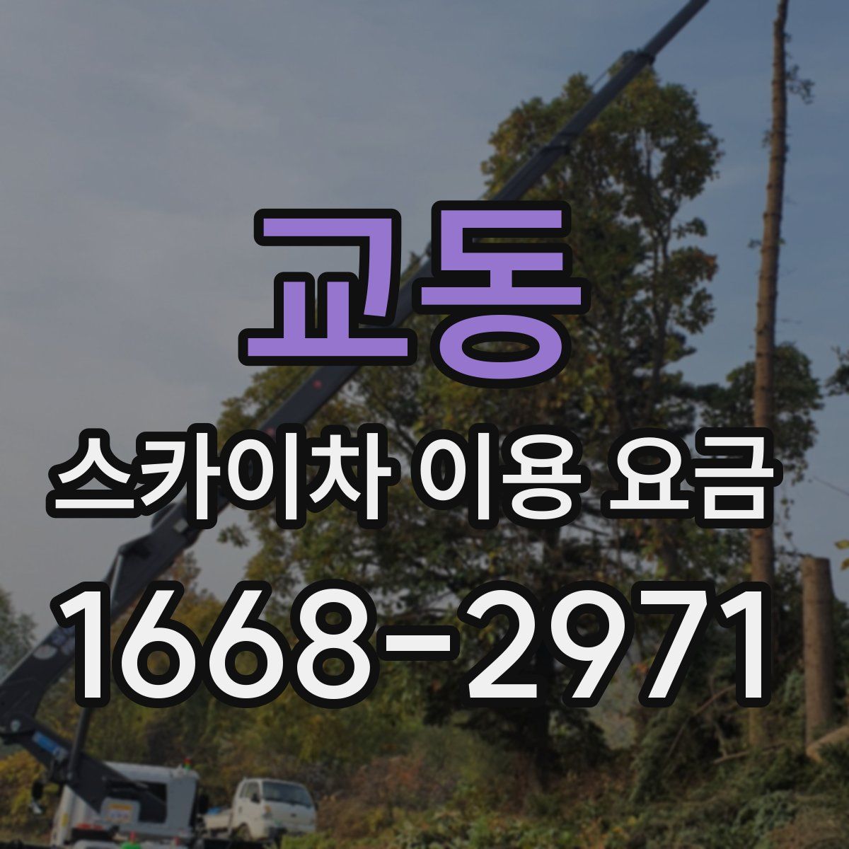 교동 스카이차 이용 요금