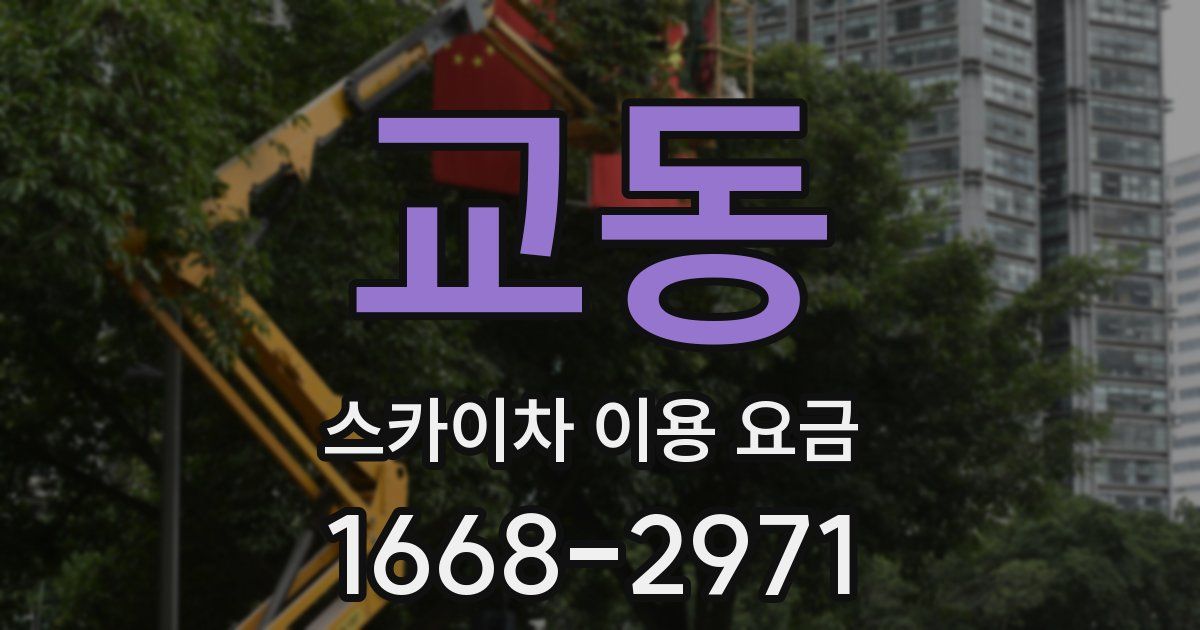 교동 스카이차 이용 요금