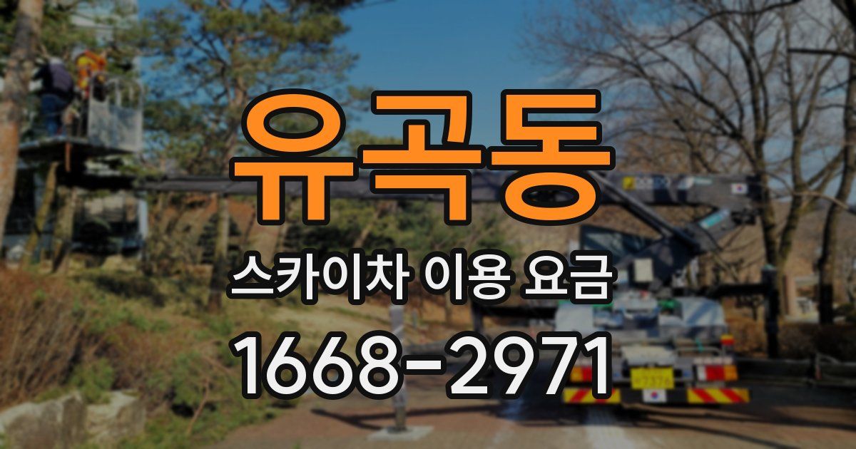 유곡동 스카이차 이용 요금