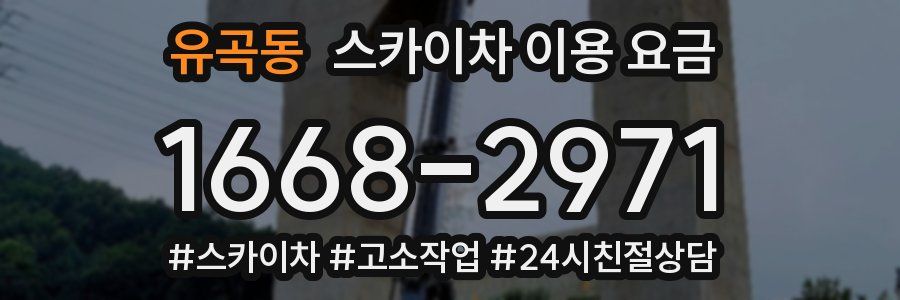 유곡동 스카이차 이용 요금