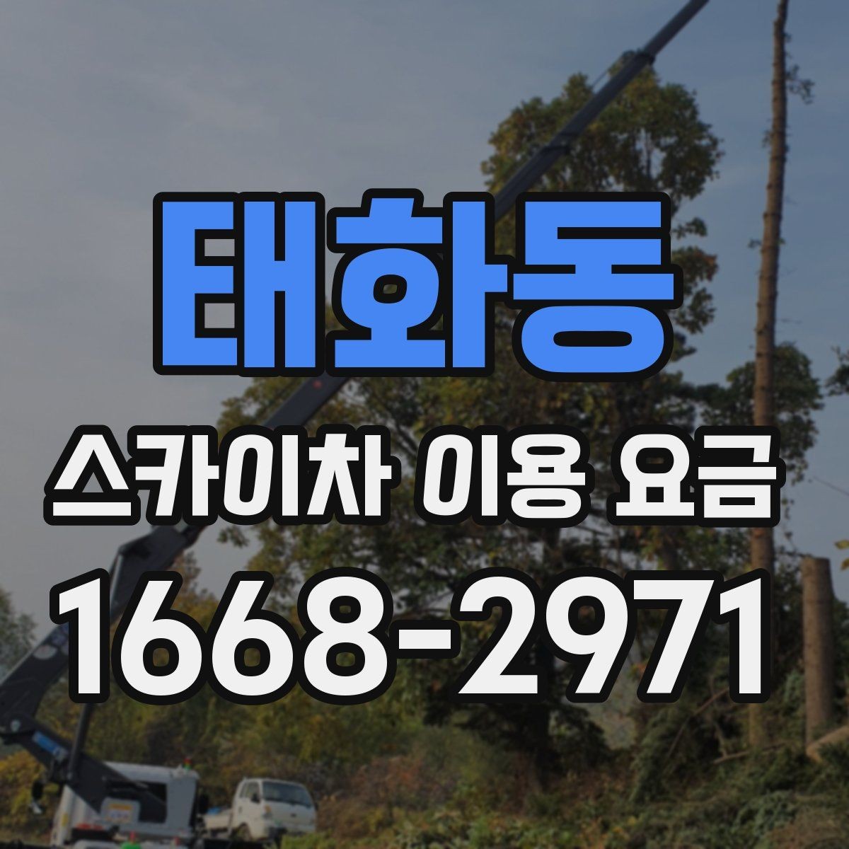 태화동 스카이차 이용 요금 산정 기준과 확인 포인트