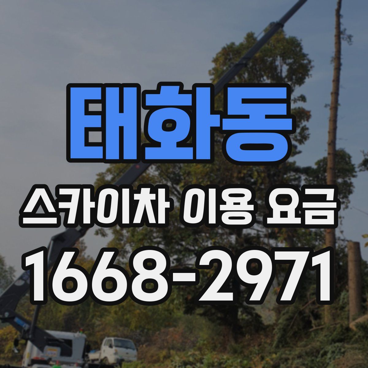 태화동 스카이차 이용 요금