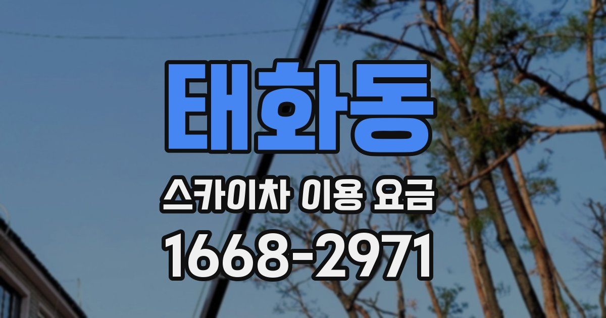 태화동 스카이차 이용 요금