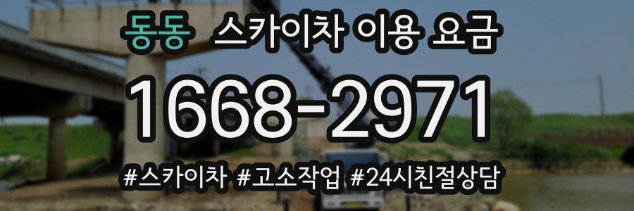 동동 스카이차 이용 요금